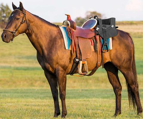 Important Information To Have Before Cleaning A Suede Saddle