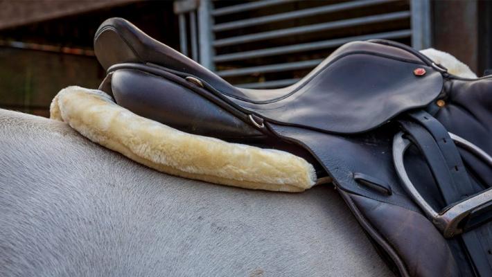 The Western Saddle Pad Should Be Dried