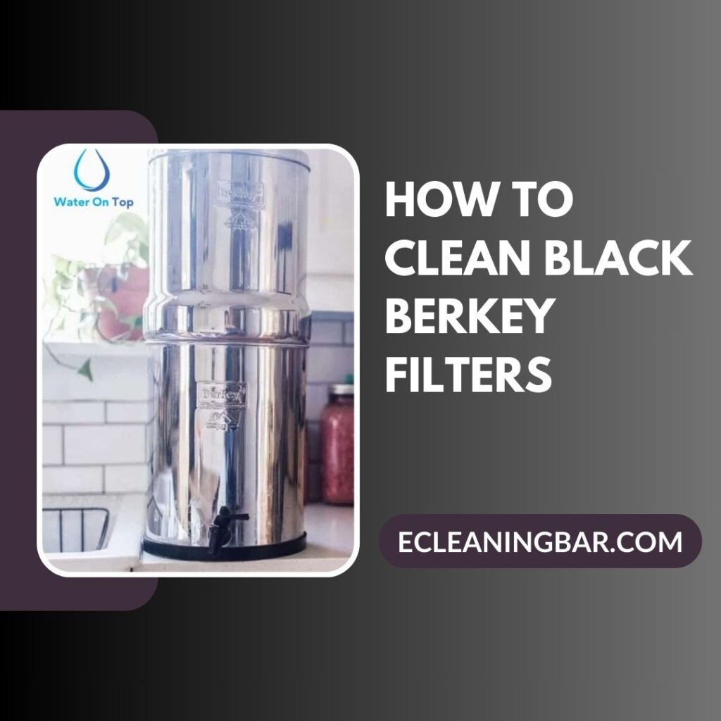 How To Clean Black Berkey Filters