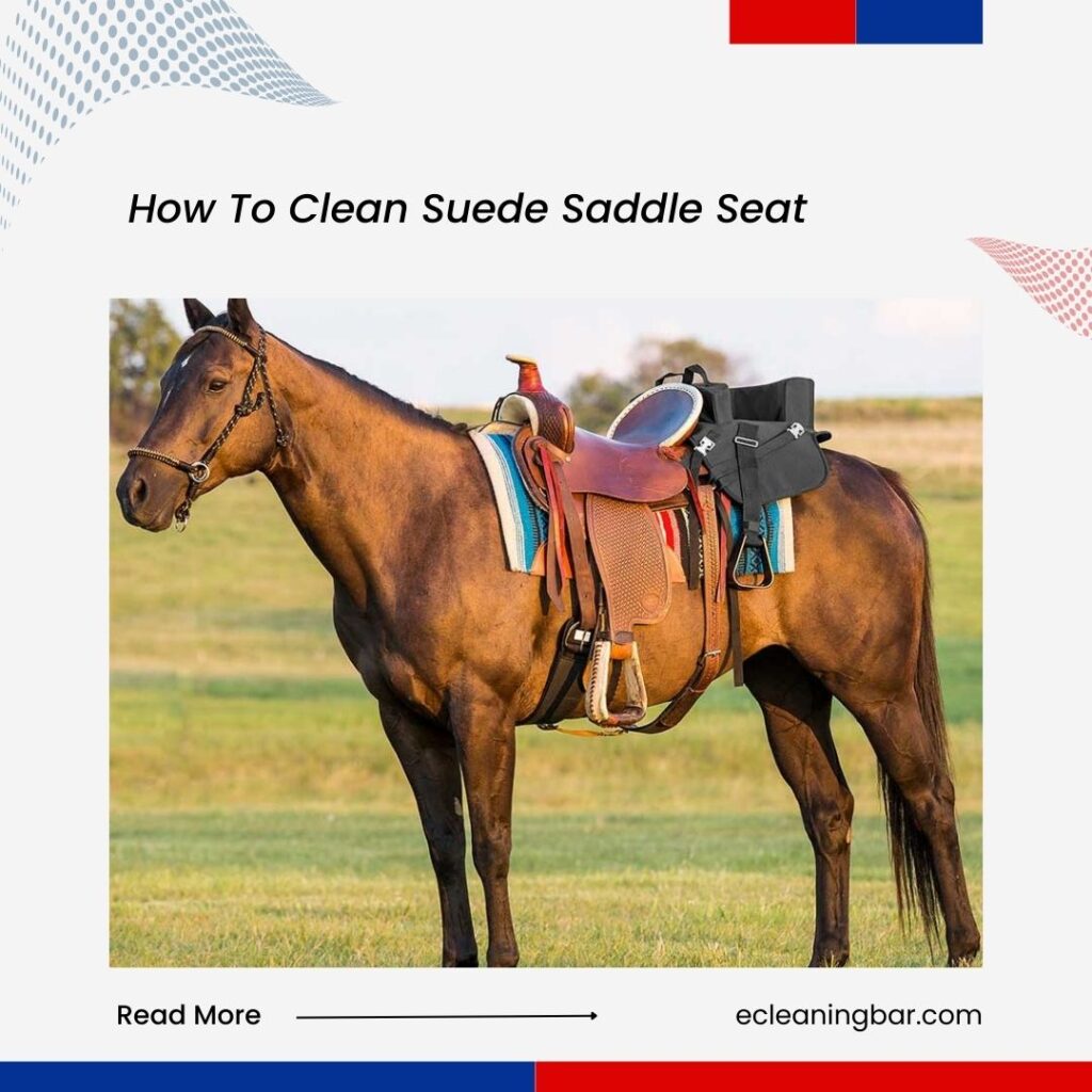 How To Clean Suede Saddle Seat