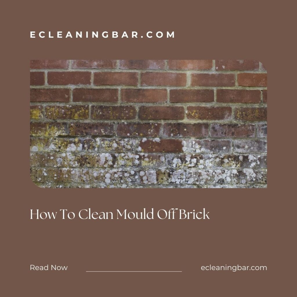 How To Clean Mould Off Brick