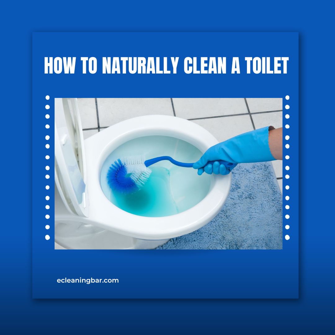 How To Naturally Clean A Toilet – Step By Step Guide